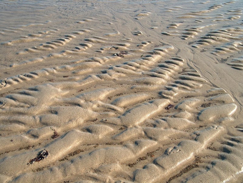 Tranquil Beach