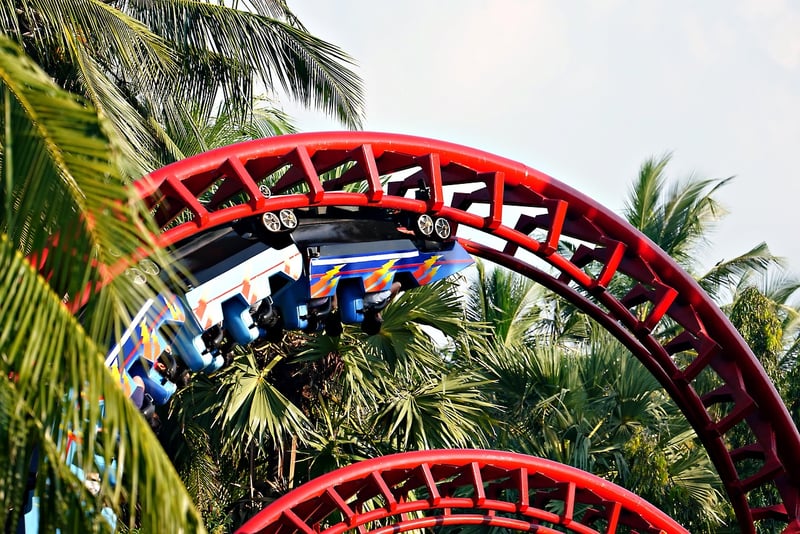 Roller Coaster Ride